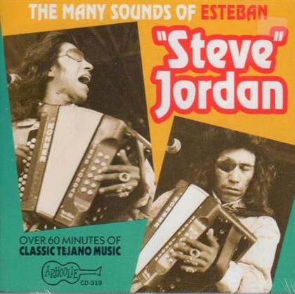 Steve Jordan - Many Sounds Of
