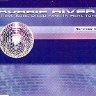 Robbie Rivera - There Some Disco Fans In