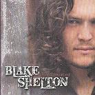 Blake Shelton - Dreamer