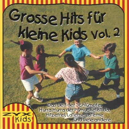 Kiddicats - Grosse Hits Für Kleine 2