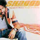 Shaggy - Strength Of A Woman - 2 Track