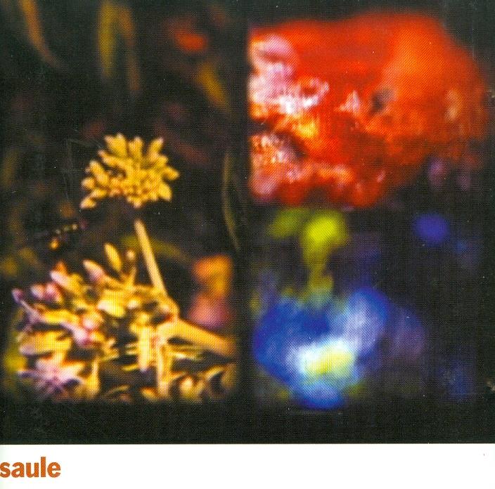 Saule - ---
