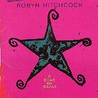 Robyn Hitchcock - Star For Bram