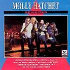 Molly Hatchet - Revisited