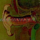 Line - Auricle
