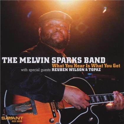 Melvin Sparks - What You Hear Is What You