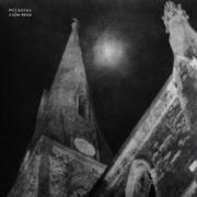 Molasses - A Slow Messe