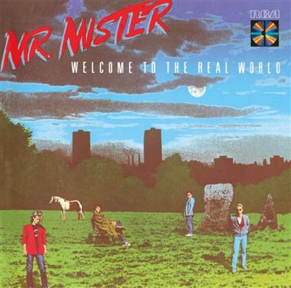 Mr. Mister - Welcome To The Real World - Music On CD