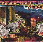 Yeah Yeah Yeahs - Date With The Night