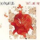 Foo Fighters - Time Like These - Digipack