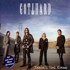 Gotthard - Janie's Not Alone - 2 Track