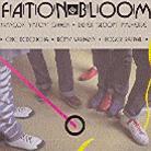 Didier Malherbe - Faton Bloom