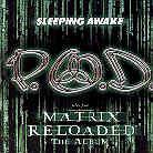 P.O.D. (Payable On Death) - Sleeping Awake - 2 Track