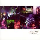 Cranes - Live In Italy