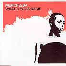 Morcheeba Feat. Big Daddy Kane - What's Your Name