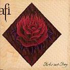 A.F.I. - Girls Not Grey