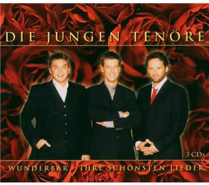 Die Jungen Tenöre - Wunderbar - Ihre Schönsten Lieder (3 CDs)