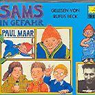 Sams In Gefahr - Various - Gelesen Von Rufus Beck (4 CDs)