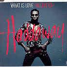 Haddaway - What Is Love - Reloaded