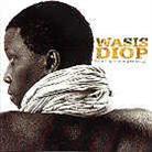 Wasis Diop - Everything Is Never Quite Enough