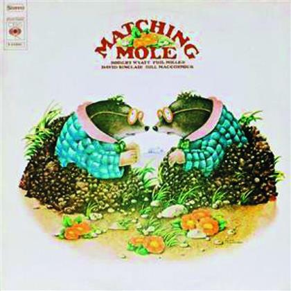 Matching Mole - ---