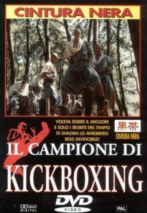 Il campione di Kickboxing (1991)