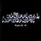 The Chemical Brothers - Singles 93-03 (French Edition, 2 CDs)