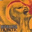 Metallica - Frantic 1