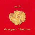 Angel Tears - Vol. 3