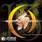 A Perfect Circle - Weak And Powerless - 2 Track