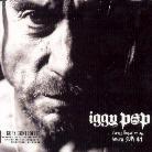 Iggy Pop - Little Know It All