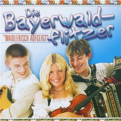 Die Bayerwaldflitzer - Waidlerisch Aufgeigt