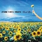 Stone Temple Pilots - Thank You (Limited Edition, CD + DVD)