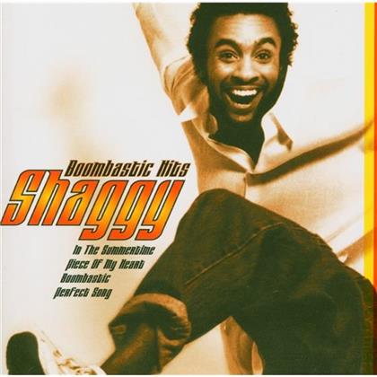 Shaggy - Boombastic Hits