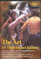 The art of high impact kicking - (Martial Art Instructional)