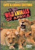 Cute and cuddly critters - Wild animals of Africa
