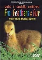 Cute and cuddly critters - Fin, feathers and fur