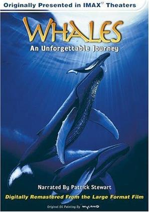 Whales: An unforgettable journey (Imax)