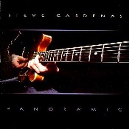 Steve Cardenas - Panoramic