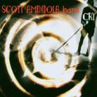 Scott Amendola - Cry