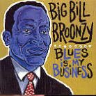 Big Bill Broonzy - Blues Is My Business (Remastered)