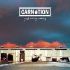 Carnation (CH) - Good Morning Evening