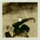 Kaoru Inoue - In Time
