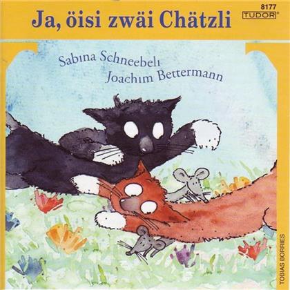 Sabina Schneebeli - Ja, Öisi Zwäi Chaätzli