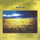 Relaxing Dreams - Vol. 23 - Lights & Shadows