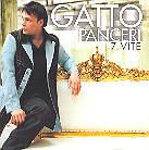 Gatto Panceri - 7 Vite