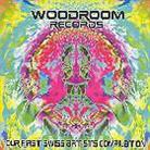 Woodroom Records - Various - Our First Swiss Artists Comp.