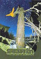 Saturation - CH-USA Snowboard - Sport Produkton
