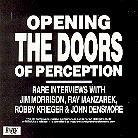 The Doors - Opening Doors Of Perception