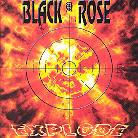 Black Rose - Explode